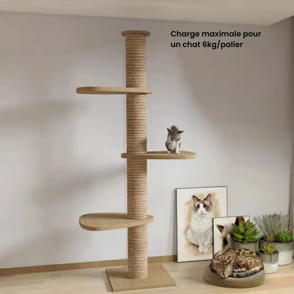 270cm Wooden Maine Coon Floor-to-Ceiling Cat Tree SkyLuxe with Bubble Pod